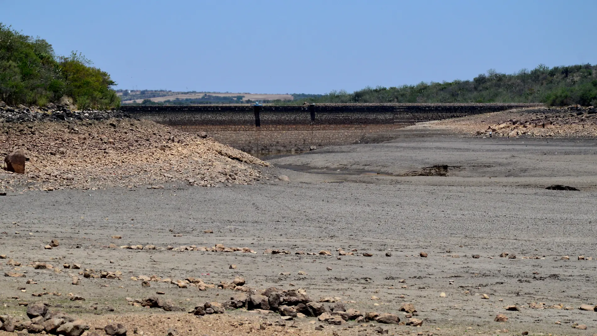 Irapuato - Arrecia estrés hídrico en Guanajuato (1)